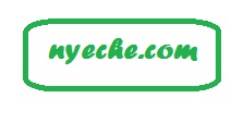 Nyeche Logo
